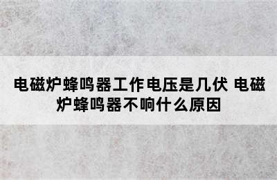 电磁炉蜂鸣器工作电压是几伏 电磁炉蜂鸣器不响什么原因